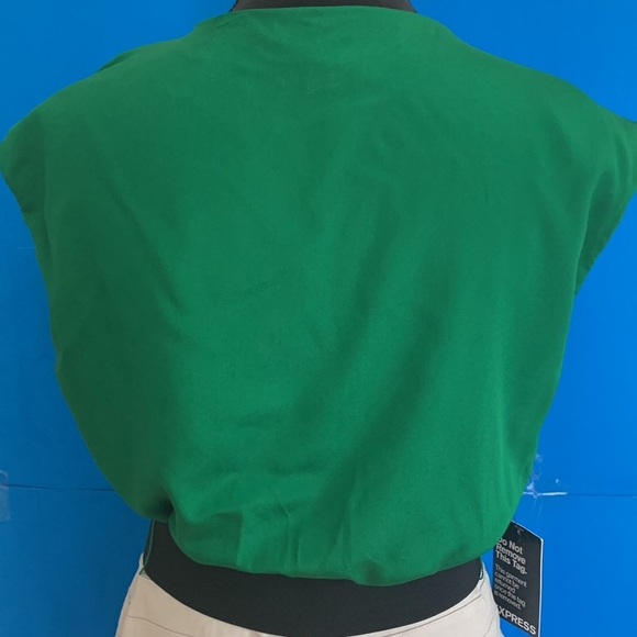 COPY - EXPRESS NEW Fitted Dress - Picture 8 of 14